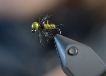 Jigged Grannom Caddis Pupa: Jigged Nymph/Soft Hackle Tutorial