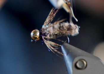 Jigged Mop Fly: Attractor Nymph Tutorial