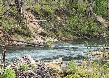 River Hazard Alert: Log Spanning the Mckenzie River in the Flat Below Bear Creek