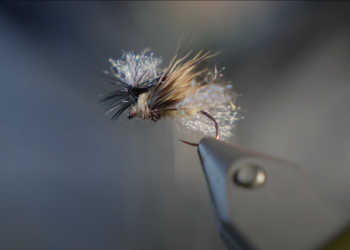 Spent Grannom Caddis: Dry Fly Cripple Tutorial