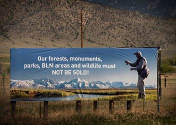 Take Action to Protect Public Land