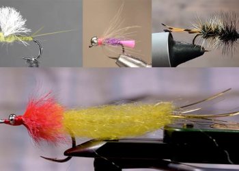 Tying Tuesday: Beauty and the Beasts