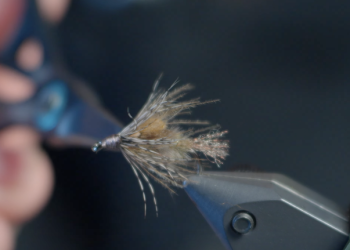 Early Grab Green Drake Emerger