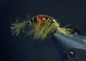 Infected Gammarus: Scud Tying Tutorial