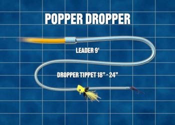 Try a Popper-Dropper Rig for Bass and Panfish