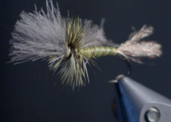 EP CDC Green Drake Cripple