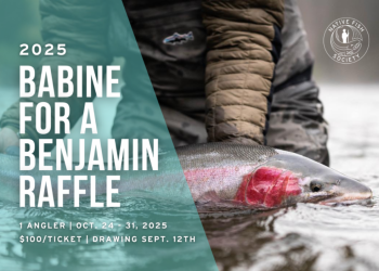 Babine for a Benjamin Raffle is on now!