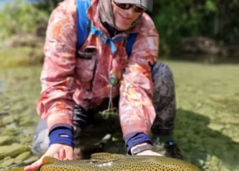 Backcountry Skinz Review and Buying Guide