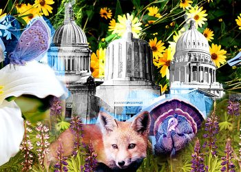 How much does your state spend on wildlife? Not what you think