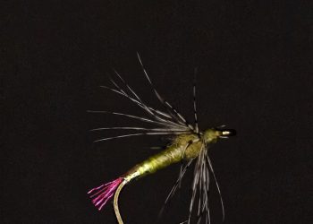 Lucent Soft Cahill Fly Tying Video Instructional