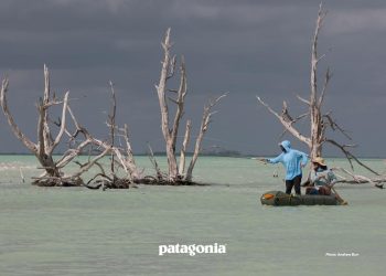 Patagonia Launches New Fly Fishing Gear for 2026