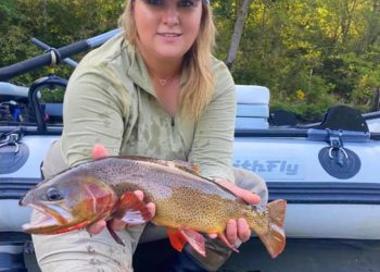 Podcast: Late Summer Terrestrials, with Jenny Mayrell-Woodruff