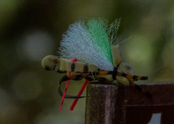 Thumper Thigh Hopper | The Caddis Fly: Oregon Fly Fishing Blog