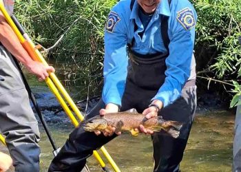 Wild-Trout Advocates Face a Battle in Pennsylvania