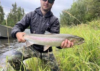 Late Summer Anadromous Report | The Caddis Fly: Oregon Fly Fishing Blog