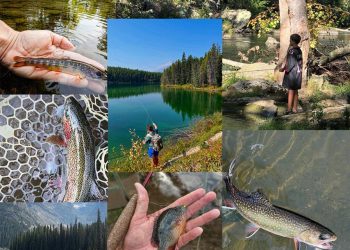 Photos: Week One of This Year’s “20 Days in September” Contest