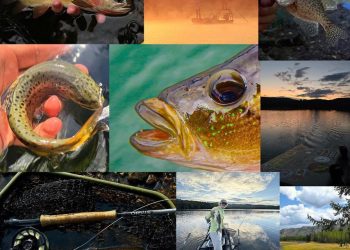 Photos: Week Two of This Year’s “20 Days in September” Contest