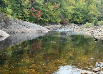 Take 10 Minutes to Help Scientists Understand Threats to Freshwater Fisheries