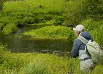 Tom Rosenbauer on How to Fish Small Streams