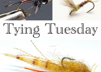 Tying Tuesday: From Trout to Redfish