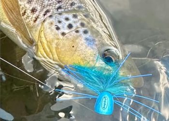 Video: Fly Fishing Outside the BOX