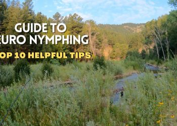 10 Tips for Small Stream & Euro Nymphing Success