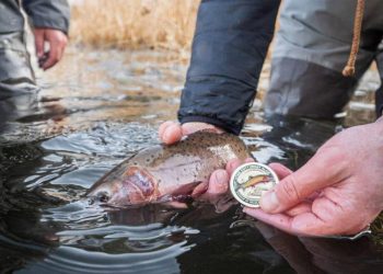 2,000th Angler Completes Utah Cutthroat Slam