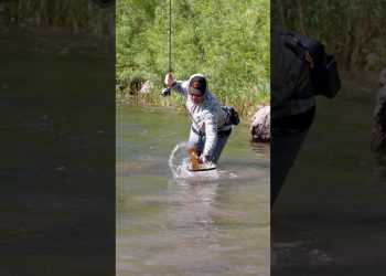 5 Fly Fishing Skills to Master in 2025