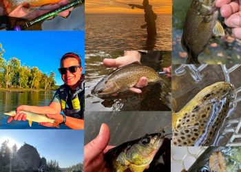 Photos: Week Four of This Year’s “20 Days in September” Contest