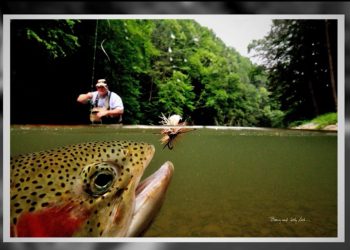 The Remarkable Story of Barry Beck’s Best-Selling Image