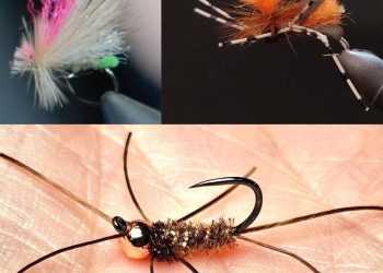 Tying Tuesday: Attractors and Stones