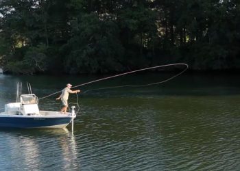 Video: Fly Casting as an Art Form