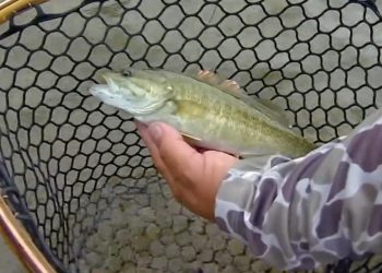 Video: Oklahoma’s Secret Fly Fishing Paradise