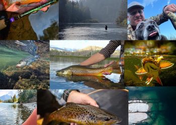 Vote for the Winners in the 2025 “20 Days in September” Contest—and Maybe Win Something for Yourself!