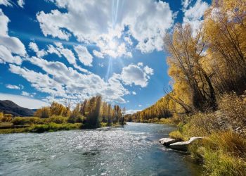 A Proposal to Limit Fishing on a Legendary Stretch of Colorado’s Blue River Sparks Controversy