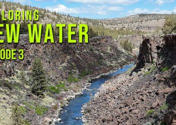 Euro Nymphing New Water for Wild Rainbow Trout || Fly Fishing in Oregon