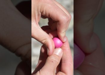 Fly Fishing Lakes — What Gear Do You Need?