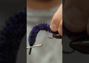 Fly Tying Tutorial | Cobia Dragon Tail Wiggler