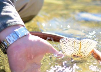 Good Advice: Move Your Feet