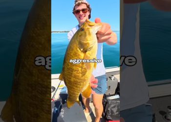 I Fished with BIG Lures 🐟🎣