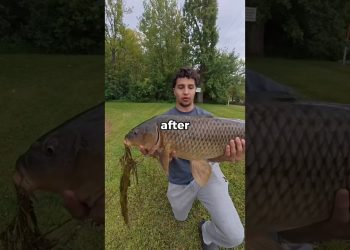 I caught the BIGGEST fish in the pond