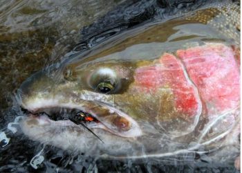 Redsides Holiday Happy Hour & In-Person Presentation: John Shewey’s 50 Years on the Fly