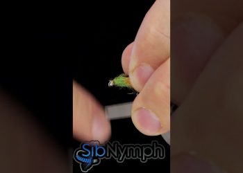 Three colors nymph from Sibnymph "Soft" Chenille on a Siberia Hook  #flytying #flyfishing #nymphing