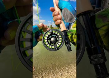 Tips Using A fly Rod for fly fishing#fishing#tips#fish#shortvideo#shorts#short#youtube#viral#bass