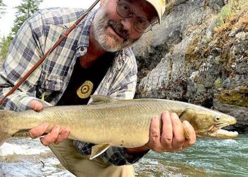 Where to Find Big Bull Trout in the West