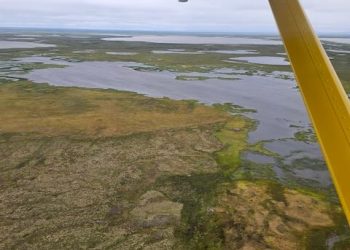 Arolik River Alaska Trip Report | The Caddis Fly: Oregon Fly Fishing Blog