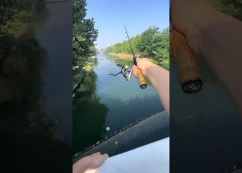 Cần câu máy 2 khúc UL, 1,68m câu lure cá lóc 3-8kg 2025 #4 #lurefishing #fishing #shorts