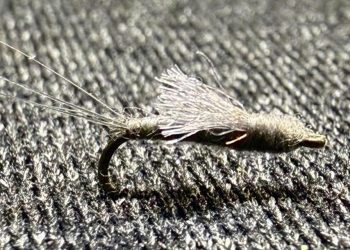 Could One Trout Fly Rule Them All?