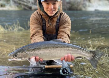 Early Winter Steelhead “Report”/Primer | The Caddis Fly: Oregon Fly Fishing Blog