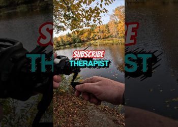 FISHING BIPOLAR #shorts #fishing #viral